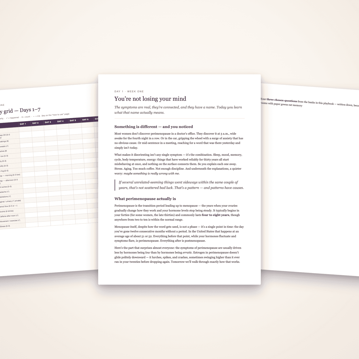 Inside the guide: Day 1, the daily tracker grid, and the doctor visit playbook